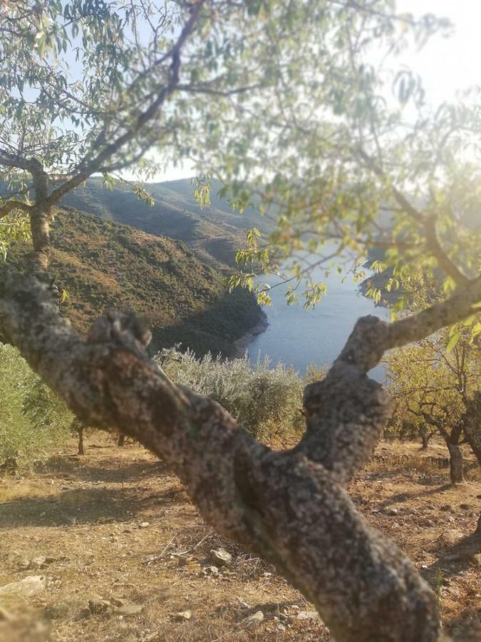 Vila Casas De Xisto Mogadouro  Exteriér fotografie